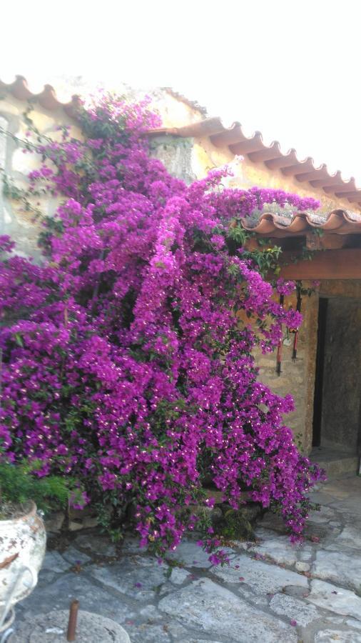 Casa De Chanca Penela Esterno foto